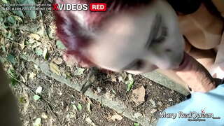 من برداشت تا یکی در دشت و شير او