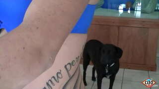 Inked Babeh Anak Cleo diaku méré leungeun nulungan lamun gedé dick perlu release stress, komo deui lamun manéhna bisa meunangkeun haneut cum sakumna nya tits! Jadi nice! Full Video &amp;amp; Sadaya Anak Cleo @ ItsCleoLive.com!